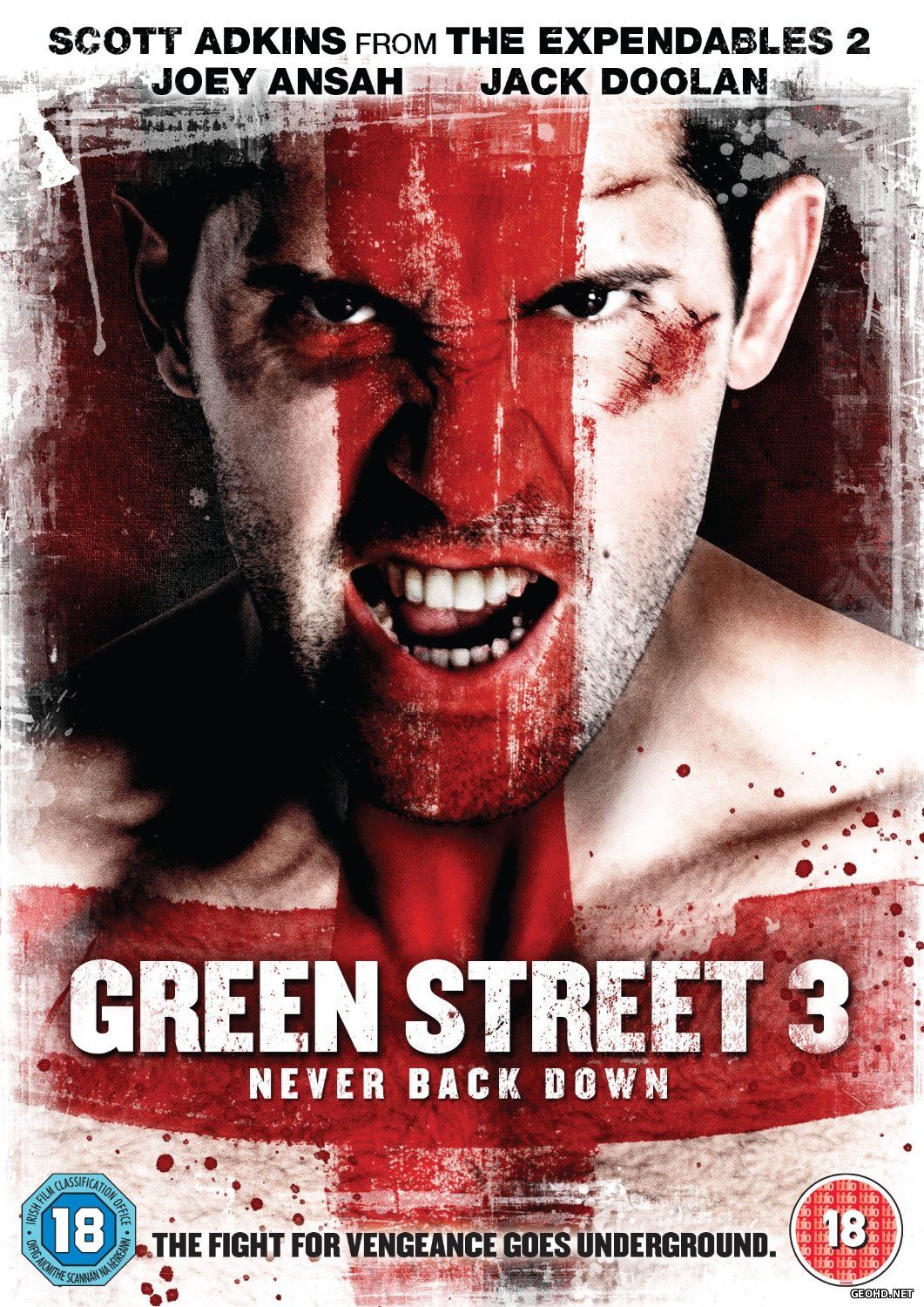 მწვანე ქუჩის ხულიგნები 3: არასოდეს დანებდე / Green Street 3: Never Back Down