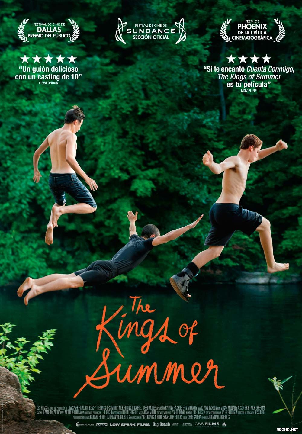 ზაფხულის მეფეები / The Kings of Summer